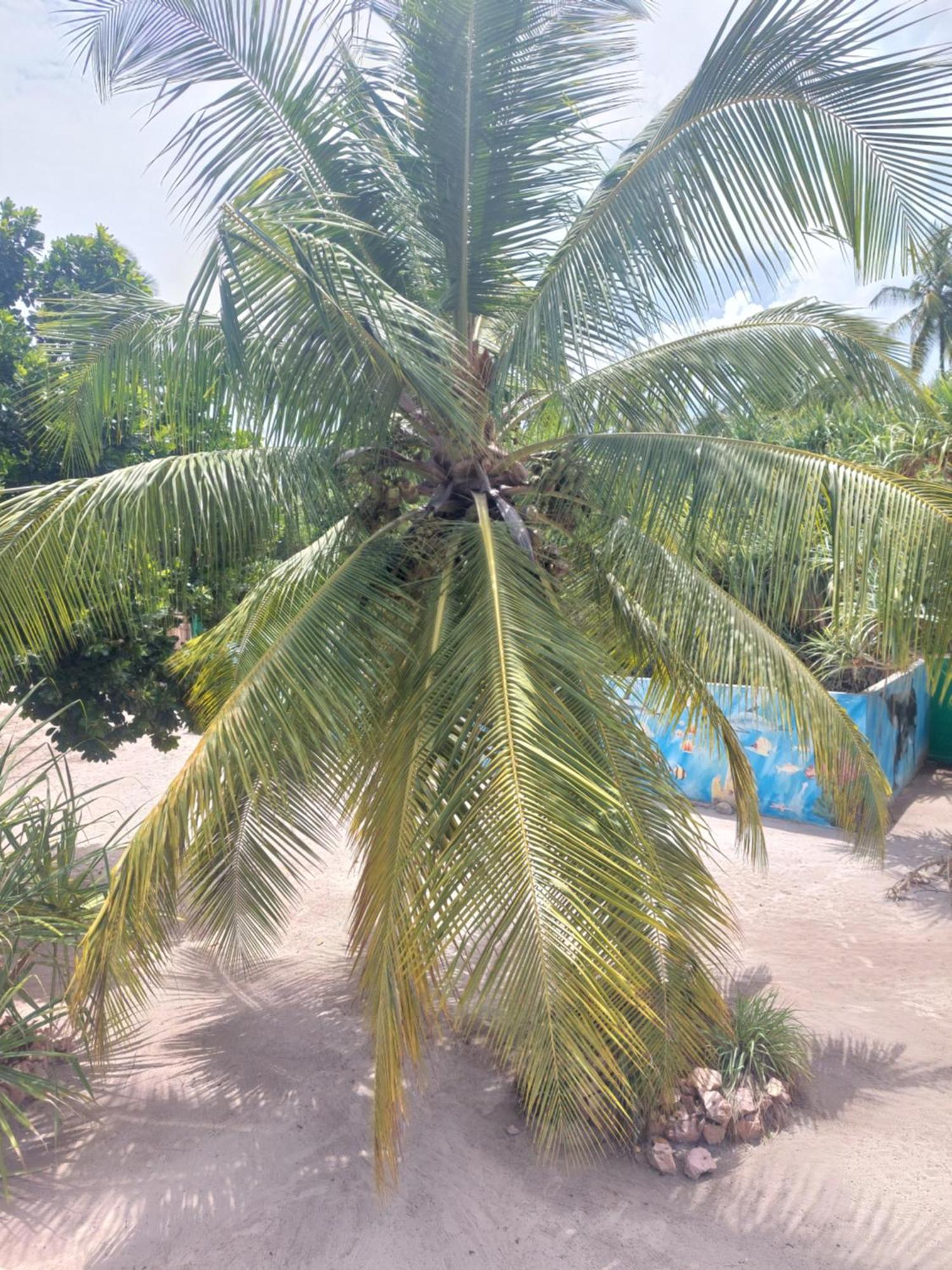 Princess Of Zanzibar Michamvi Kae Bagian luar foto